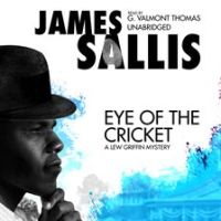Eye_of_the_Cricket